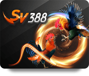 Bài poker trực tuyến – Cách chơi và chiến lược thắng lớn